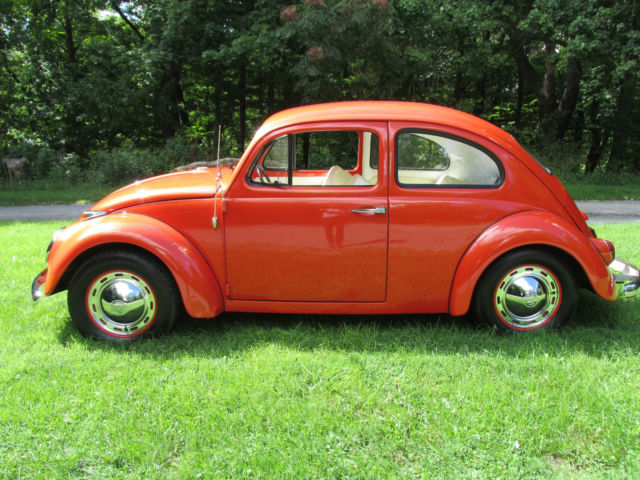 1964 Volkswagen Beetle - Classic Base - photo 2