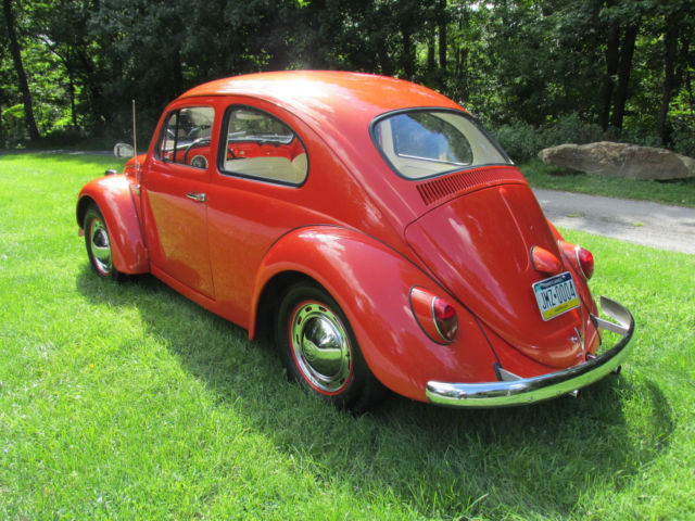 1964 Volkswagen Beetle - Classic Base - photo 3