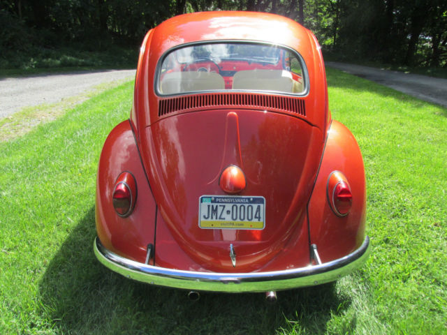 1964 Volkswagen Beetle - Classic Base - photo 4
