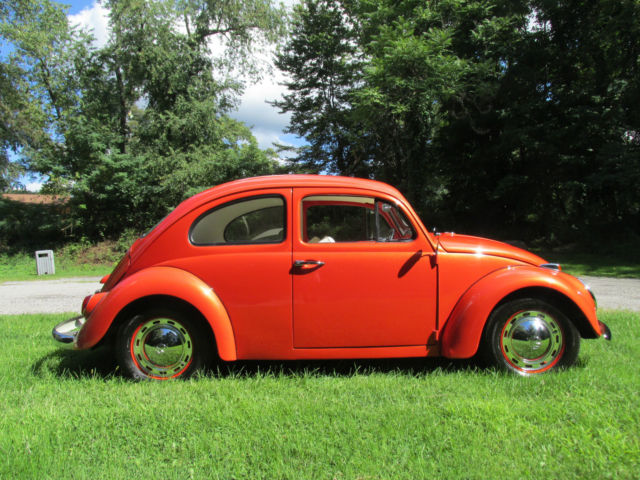 1964 Volkswagen Beetle - Classic Base - photo 6