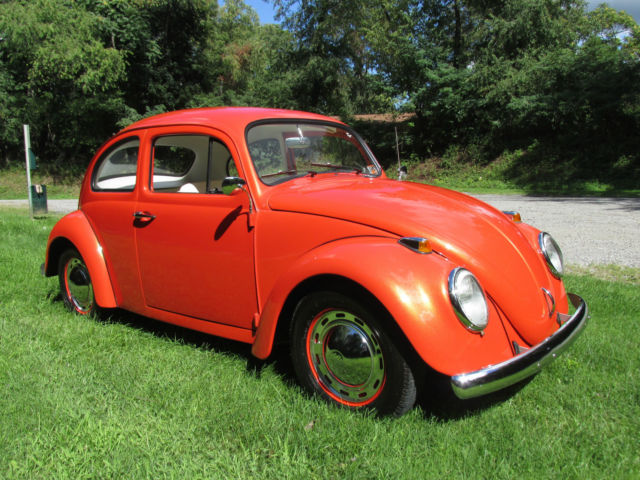 1964 Volkswagen Beetle - Classic Base - photo 7