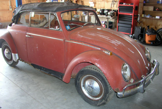 1964 Volkswagen Beetle - Classic 2 door convertible - photo 4