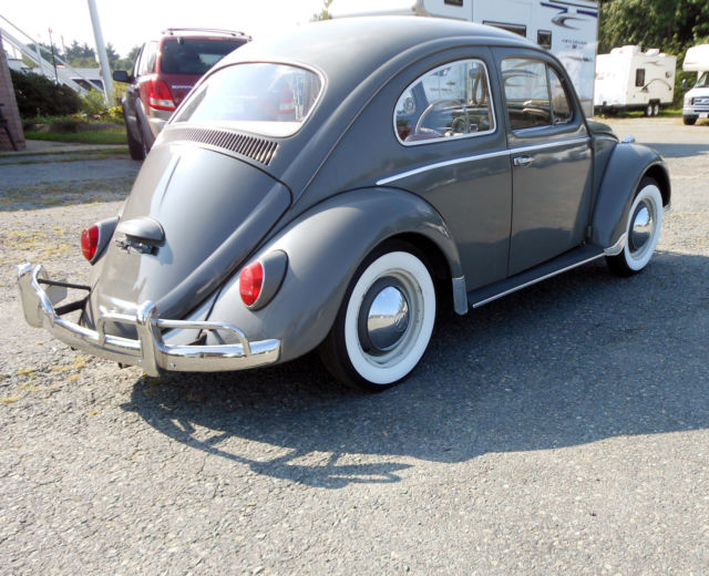 1964 Volkswagen Beetle - Classic - photo 4
