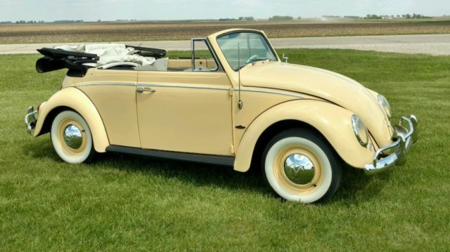 1964 Volkswagen Beetle - Classic - photo 2