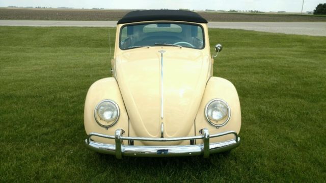 1964 Volkswagen Beetle - Classic - photo 4