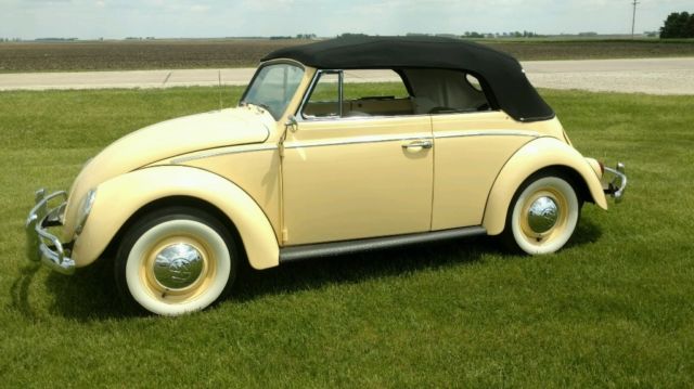 1964 Volkswagen Beetle - Classic - photo 5