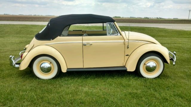 1964 Volkswagen Beetle - Classic - photo 6