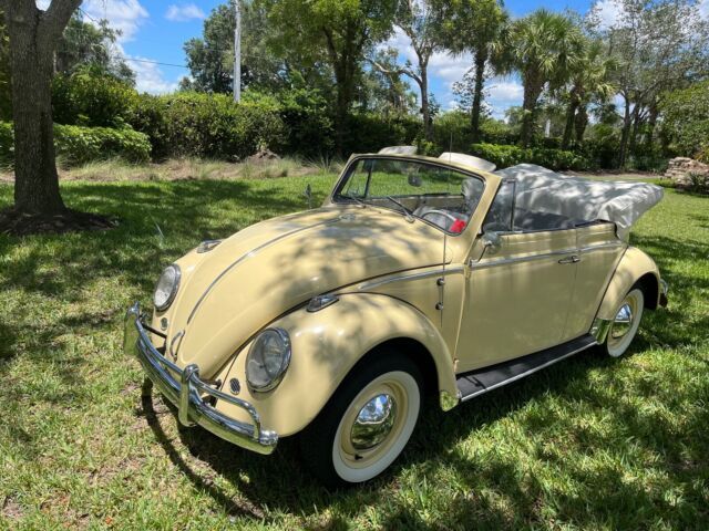 1964 Volkswagen Beetle - photo 5