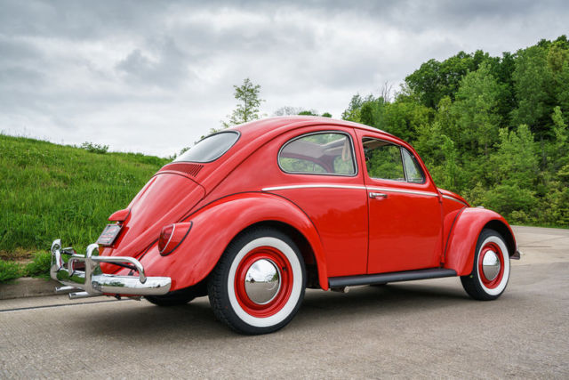 1964 Volkswagen Beetle - Classic Bug - photo 10