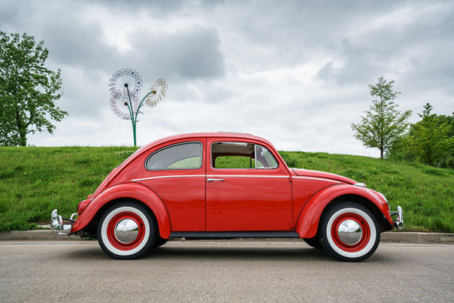 1964 Volkswagen Beetle - Classic Bug - photo 11