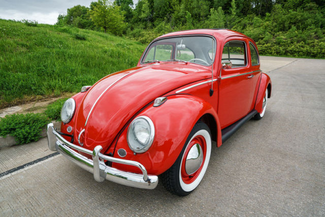 1964 Volkswagen Beetle - Classic Bug - photo 3