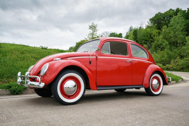 1964 Volkswagen Beetle - Classic Bug - photo 4