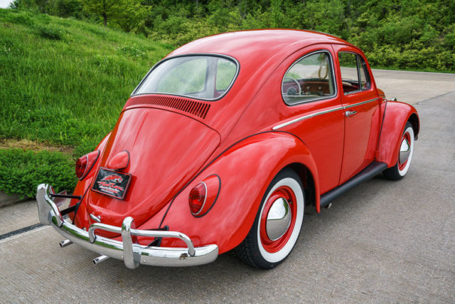 1964 Volkswagen Beetle - Classic Bug - photo 9
