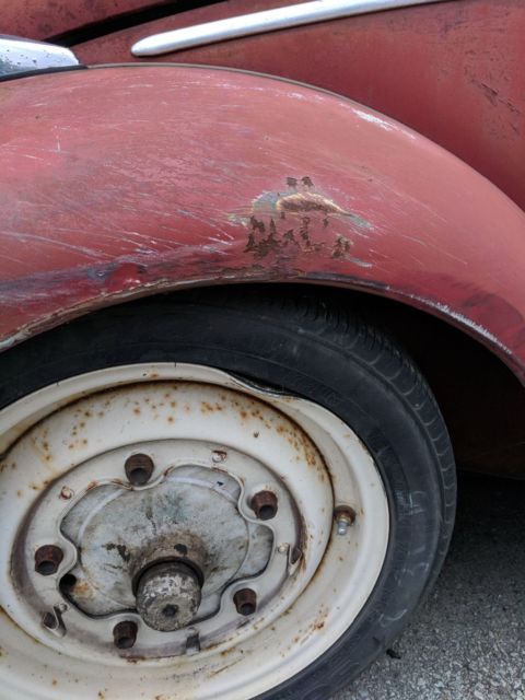 1964 Volkswagen Beetle - Classic - photo 4