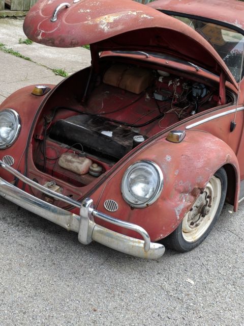 1964 Volkswagen Beetle - Classic - photo 8