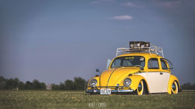 1964 Volkswagen Beetle- NO RESERVE! 1964 Volkswagen Beetle - Classic