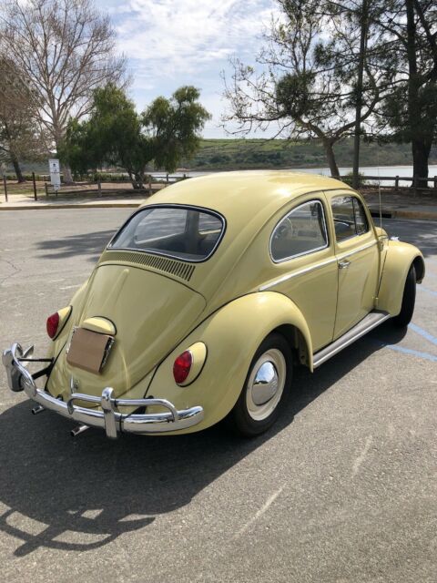 1964 Volkswagen Beetle - Classic - photo 3