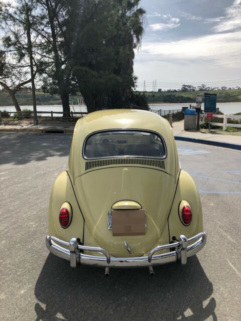 1964 Volkswagen Beetle - Classic - photo 4