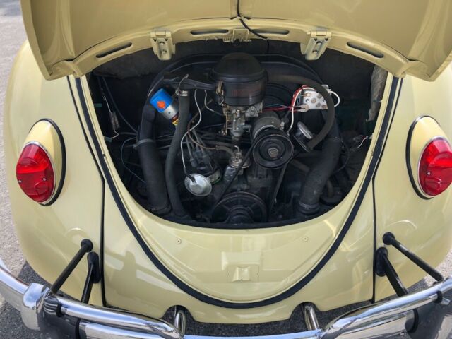 1964 Volkswagen Beetle - Classic - photo 5