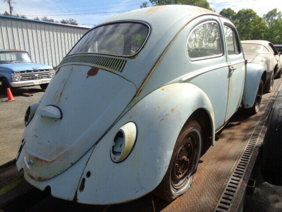 1964 Volkswagen Beetle - Classic - photo 3