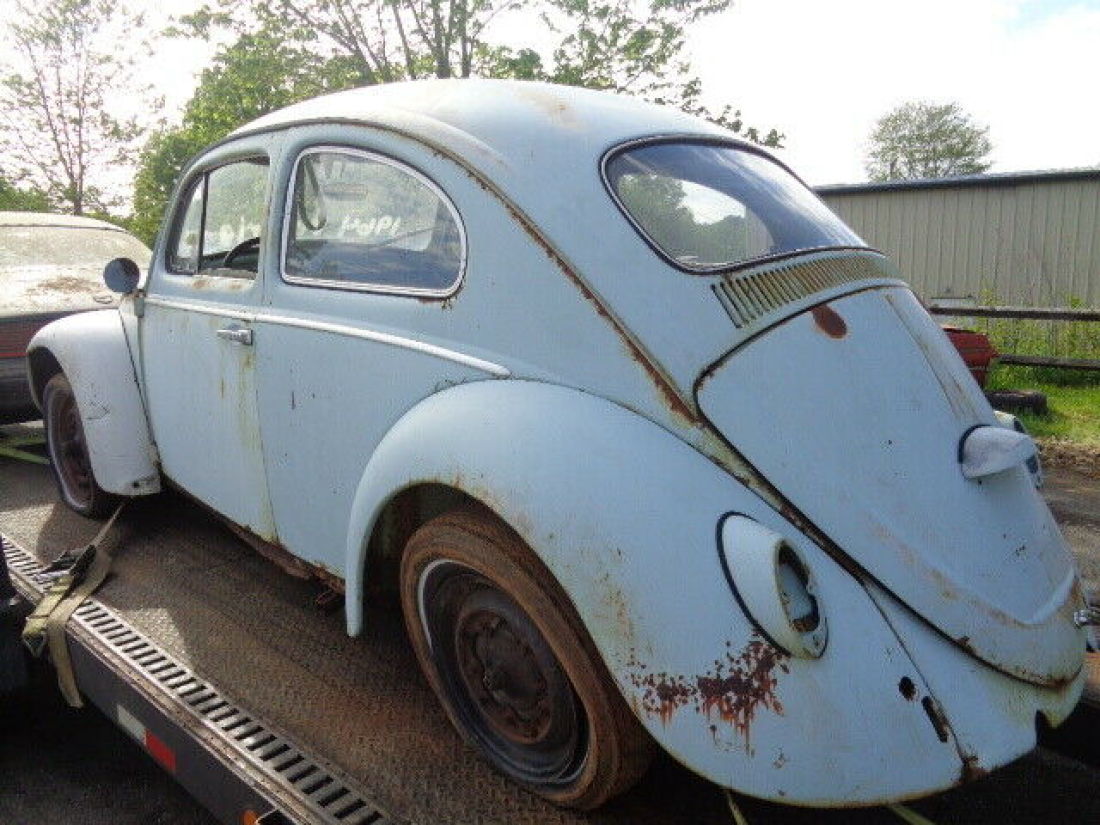 1964 Volkswagen Beetle - Classic - photo 5