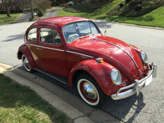 1964 VOLKSWAGEN BEETLE, RUBY RED (Fully Restored) NO RESERVE!! 1964 Volkswagen Beetle - Classic