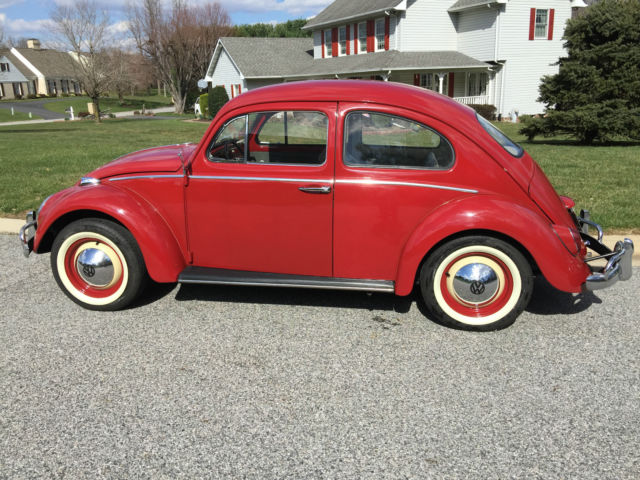 1964 Volkswagen Beetle - Classic - photo 3
