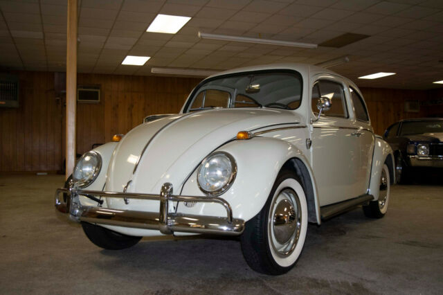 1964 Volkswagen Beetle *** SUPER CLEAN *** COLLECTOR QUALITY *** 1964 Volkswagen Beetle - Classic