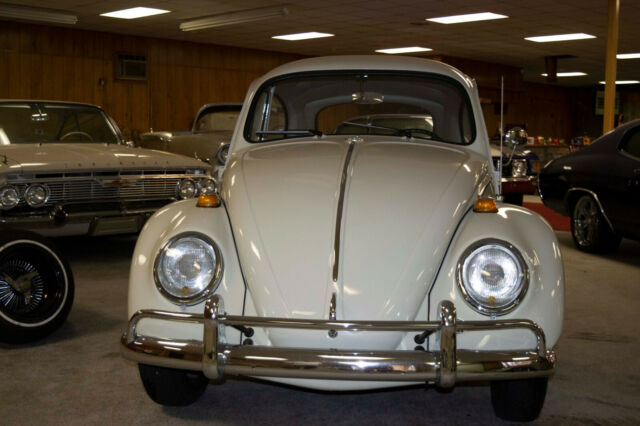 1964 Volkswagen Beetle - Classic - photo 2