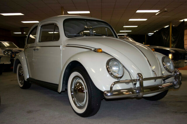 1964 Volkswagen Beetle - Classic - photo 3