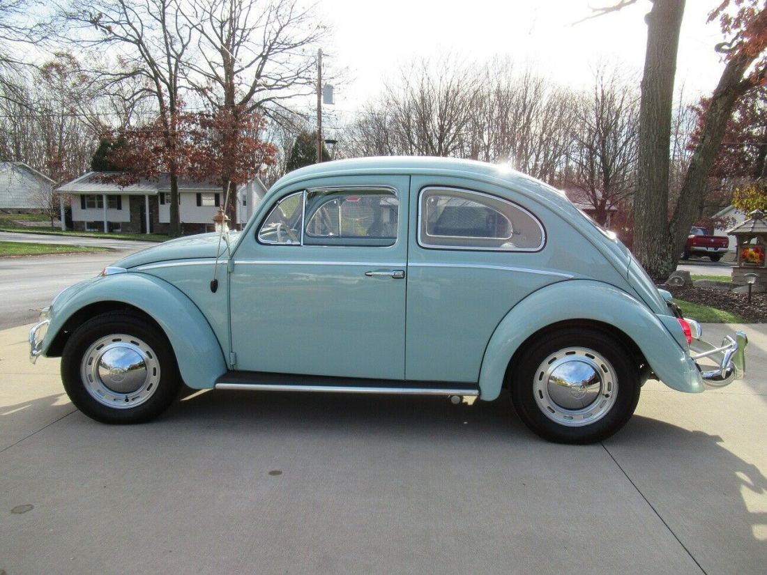 1964 Volkswagen Beetle - Classic - photo 3
