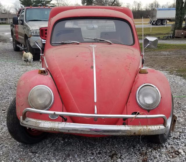 1964 Volkswagen Beetle - Classic - photo 11