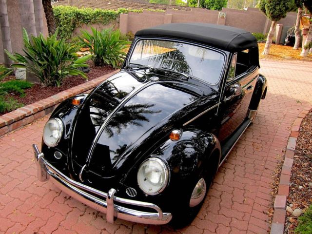 1964 Volkswagen Beetle - Classic - photo 3