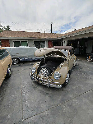 1964 Volkswagen Beetle - Classic Brown - photo 7