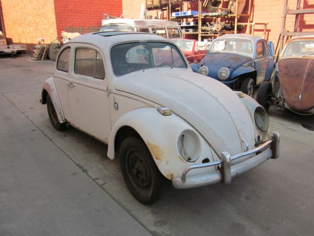 1964 Volkswagen Sunroof Beetle Bug 1964 Volkswagen Beetle - Classic