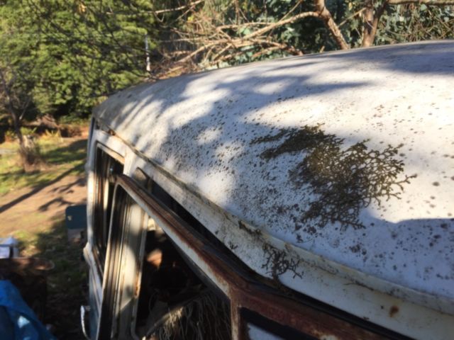 1964 Volkswagen Bus/Vanagon deluxe - photo 6