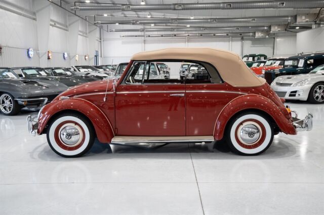 1964 Volkwagen Beetle - Classic - photo 2