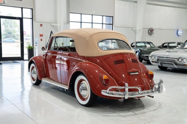 1964 Volkwagen Beetle - Classic - photo 3