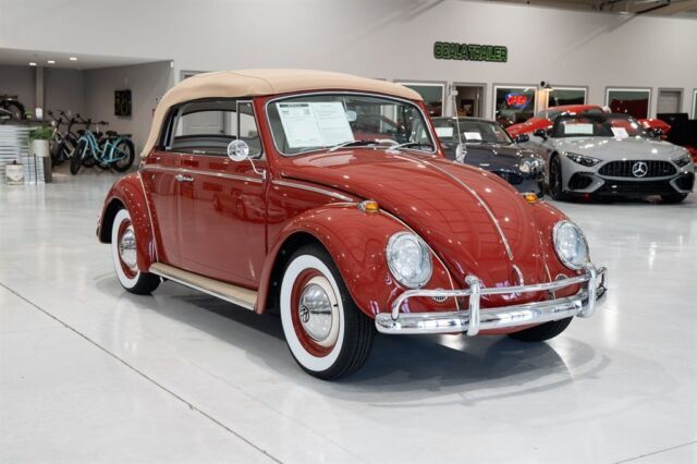 1964 Volkwagen Beetle - Classic - photo 6