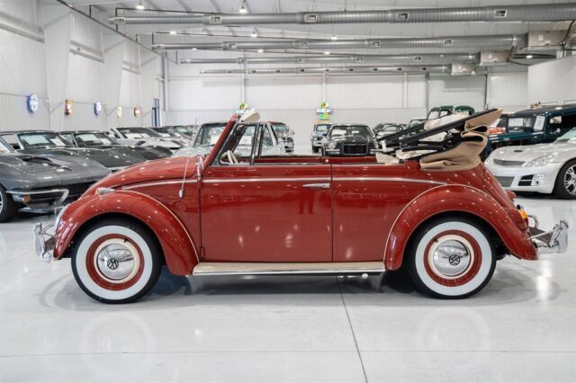 1964 Volkwagen Beetle - Classic - photo 7