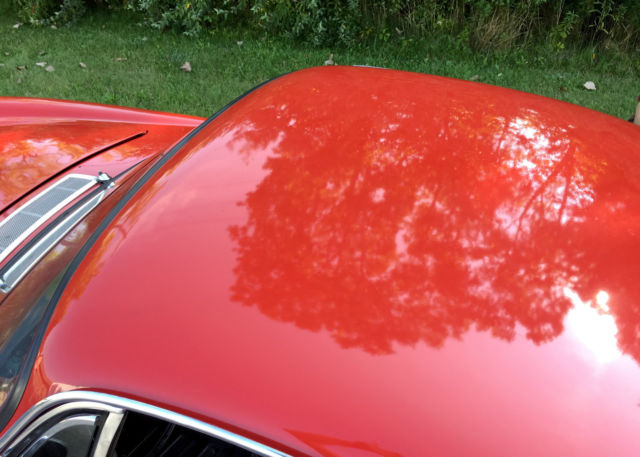 1964 Volvo Other 2 door - photo 11