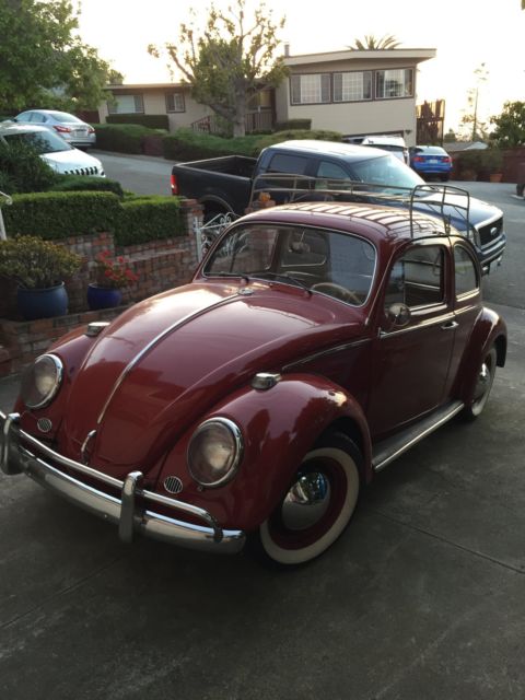 1964 Volkswagen Beetle - Classic - photo 3