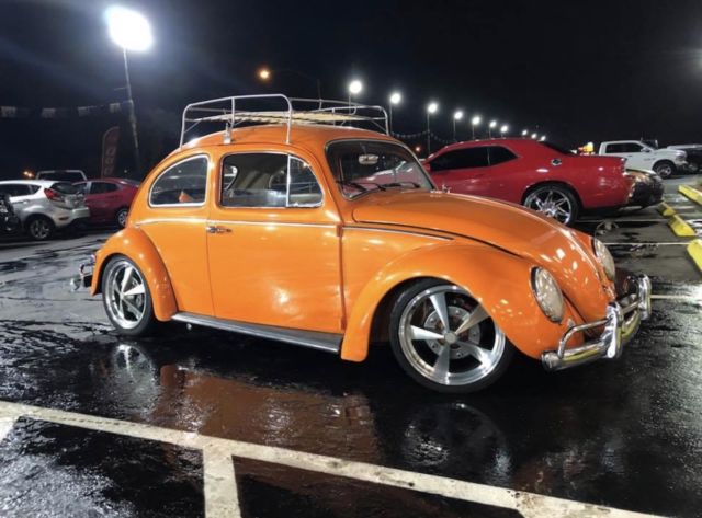 1964 Volkswagen Beetle - Classic - photo 3