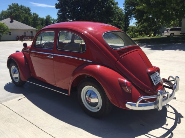 1964 Volkswagen Beetle - Classic - photo 8