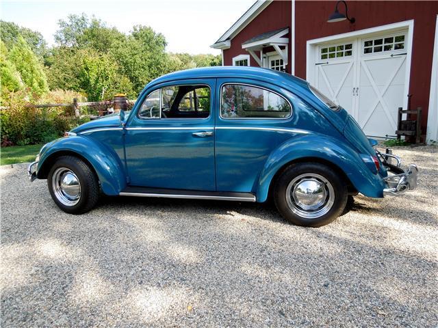 1964 Volkswagen BUG - photo 2