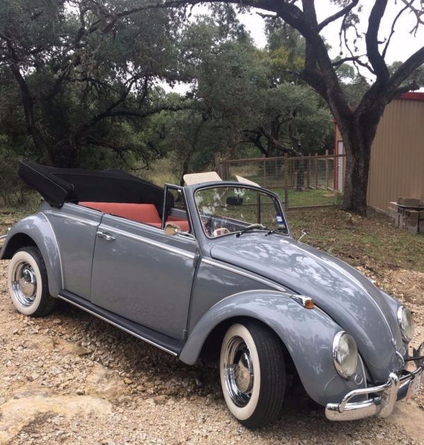 1964 Volkswagen Beetle - Classic