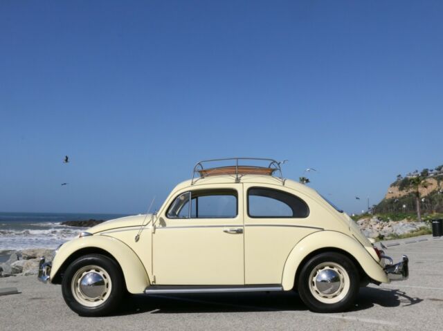 1964 Volkswagen Beetle - Classic - photo 6