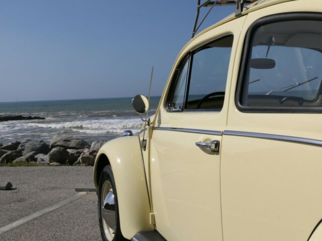 1964 Volkswagen Beetle - Classic - photo 8