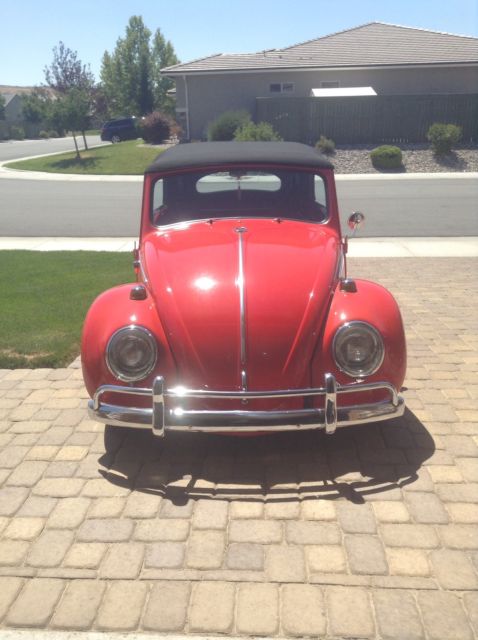 1964 Volkswagen Beetle - Classic - photo 4
