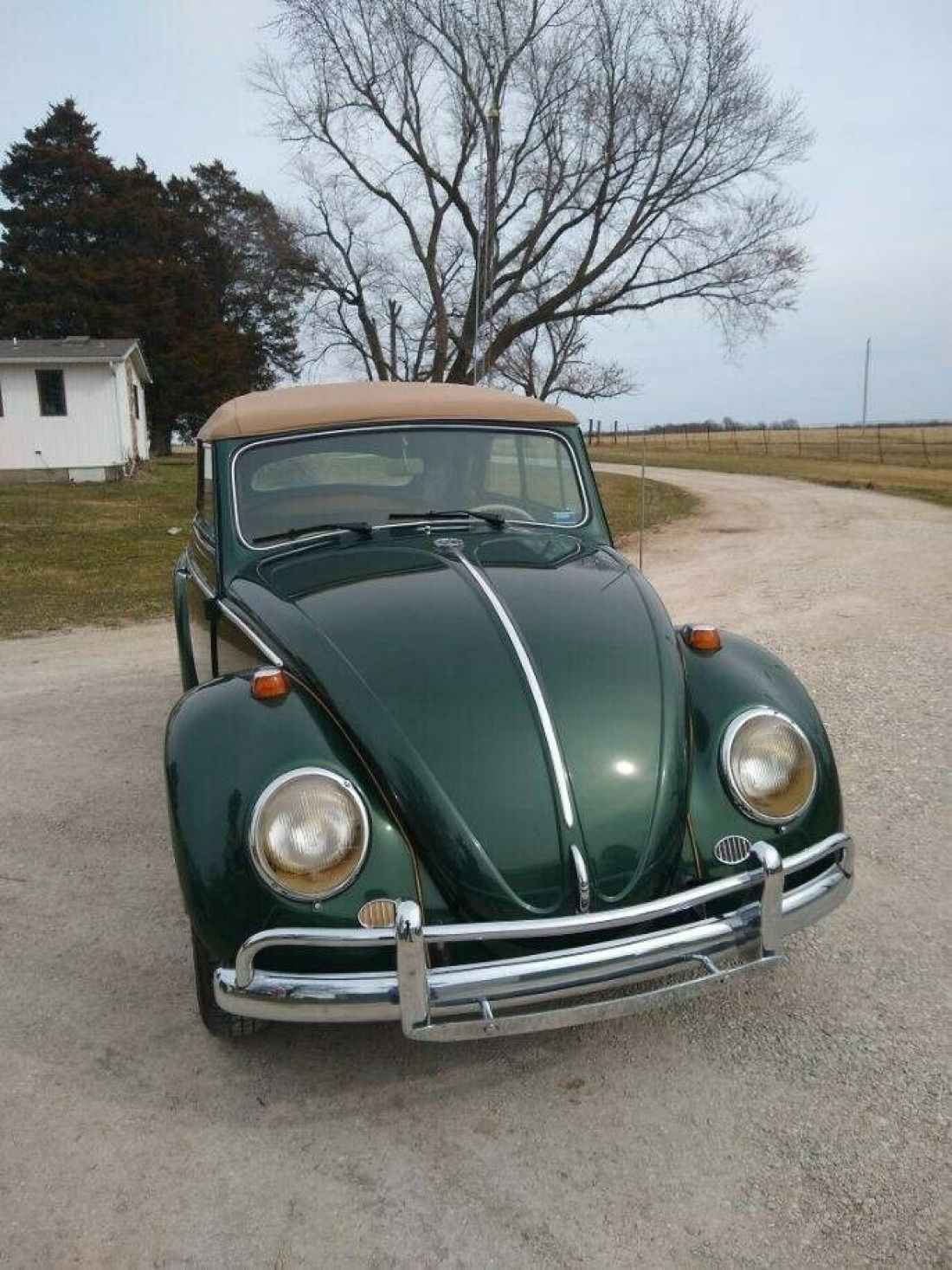 1964 Volkswagen Beetle - Classic - photo 6